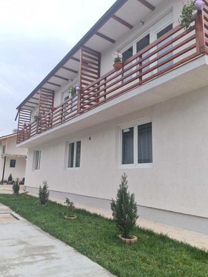 Luca'S Studio 2 ,Close To Therme Bucharest, Airport Otopeni Balotesti Zewnętrze zdjęcie